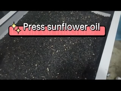 Pressen von Sonnenblumenöl mit der Lewin-Ölpresse