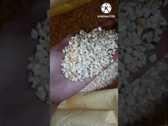 Maschine zur Extraktion von Maiskeimöl