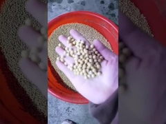 Sojaölpressmaschine