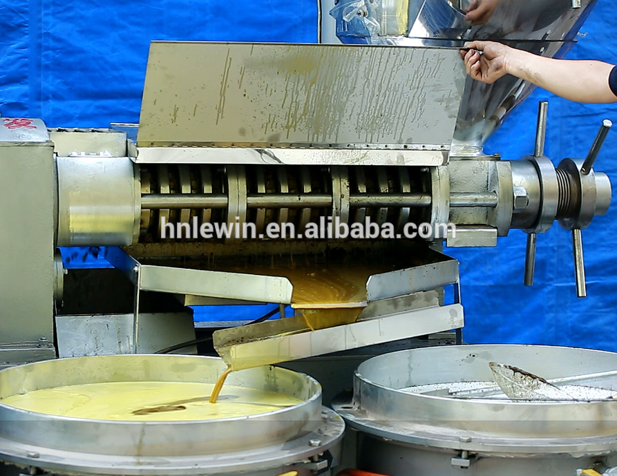 120-160 kg/h Kapazität Schraubölpressmaschine mit 2*1,6*2,7 m Größe