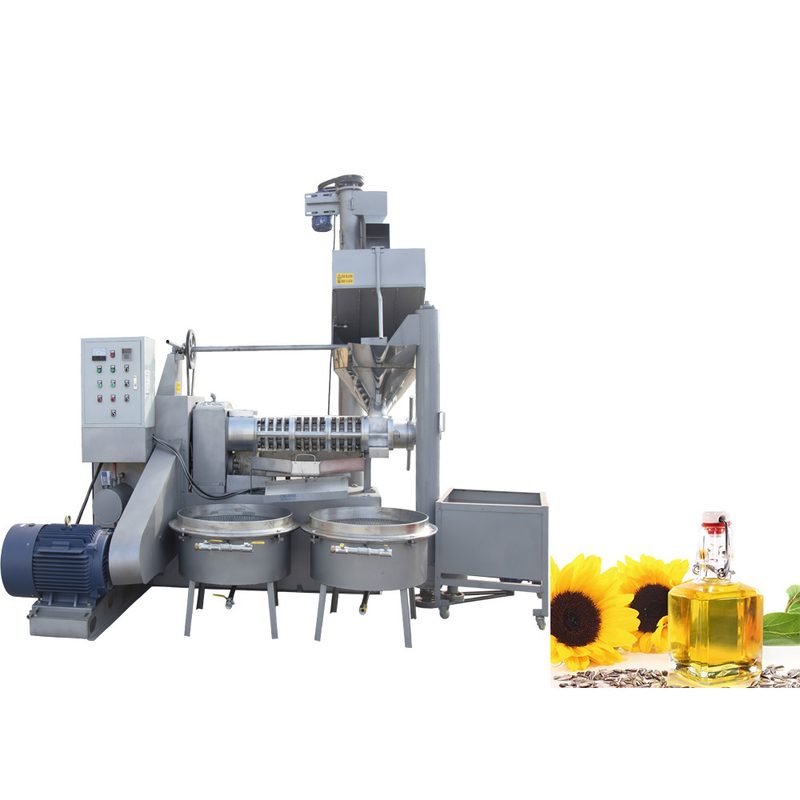 Senfkerne Sesamölpressmaschine 6YL-160 Schraube mit 300-600 kg/h Kapazität